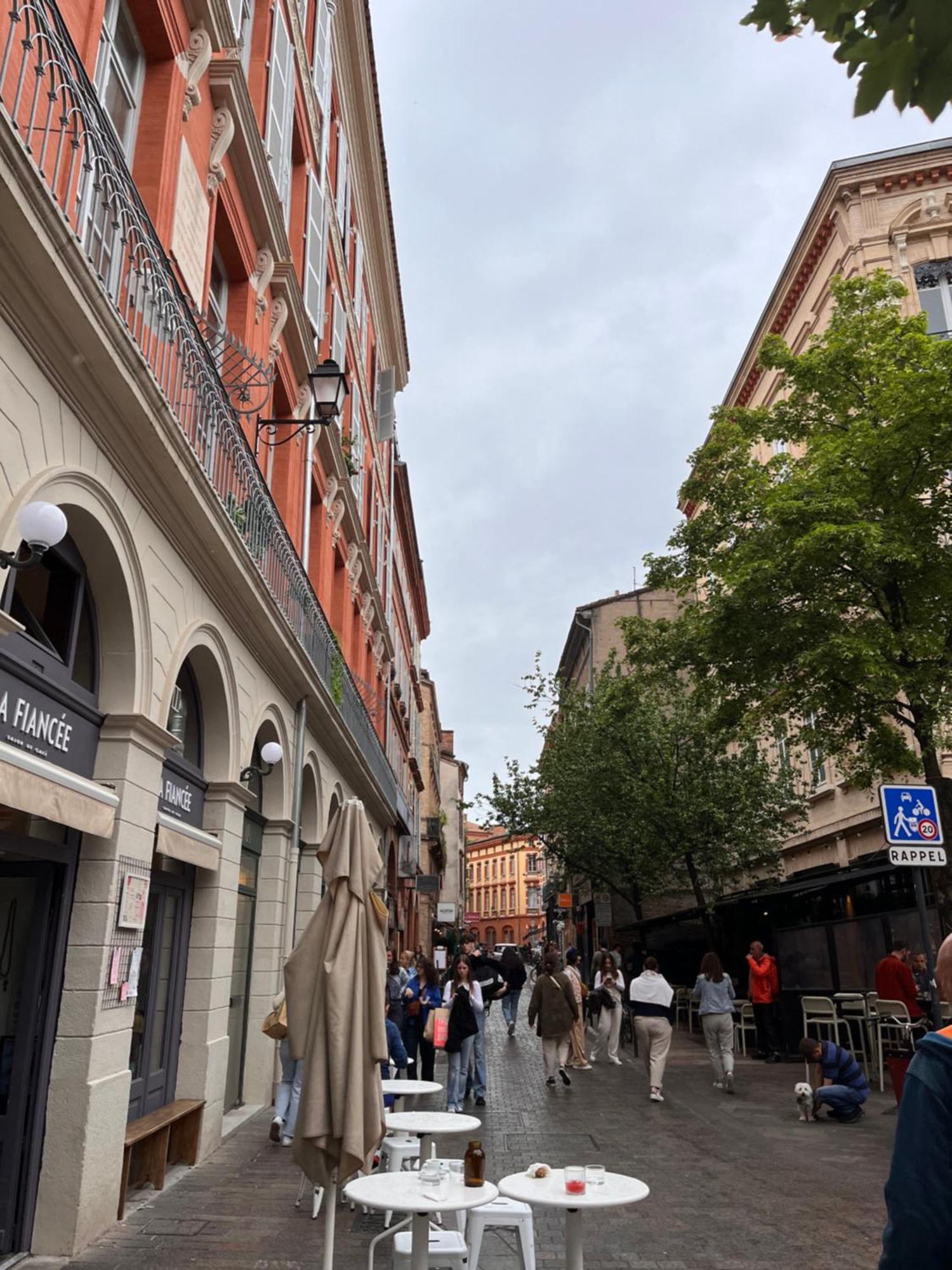 Le Petit Toulousain Chic Toulouse Eksteriør billede