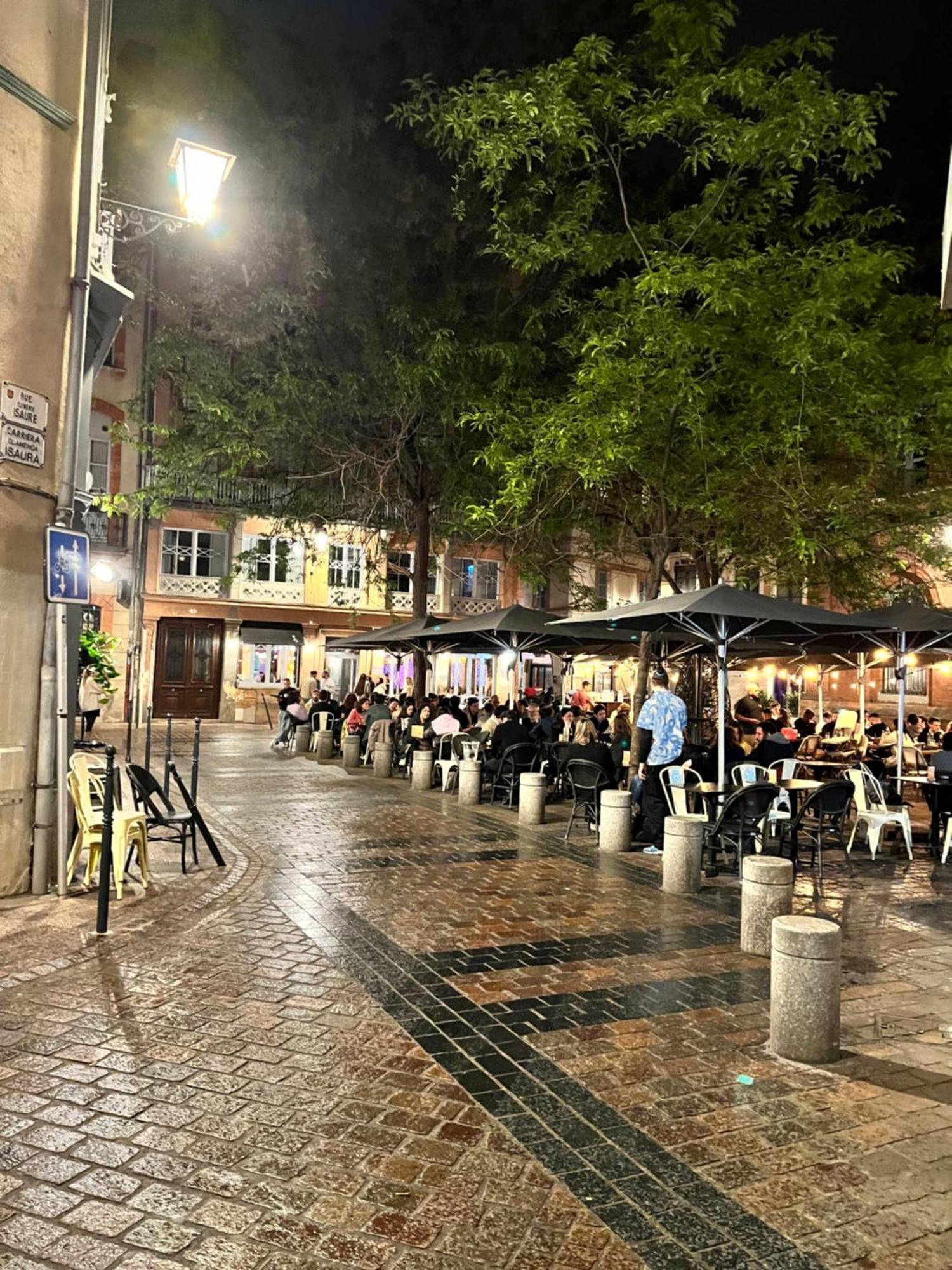 Le Petit Toulousain Chic Toulouse Eksteriør billede