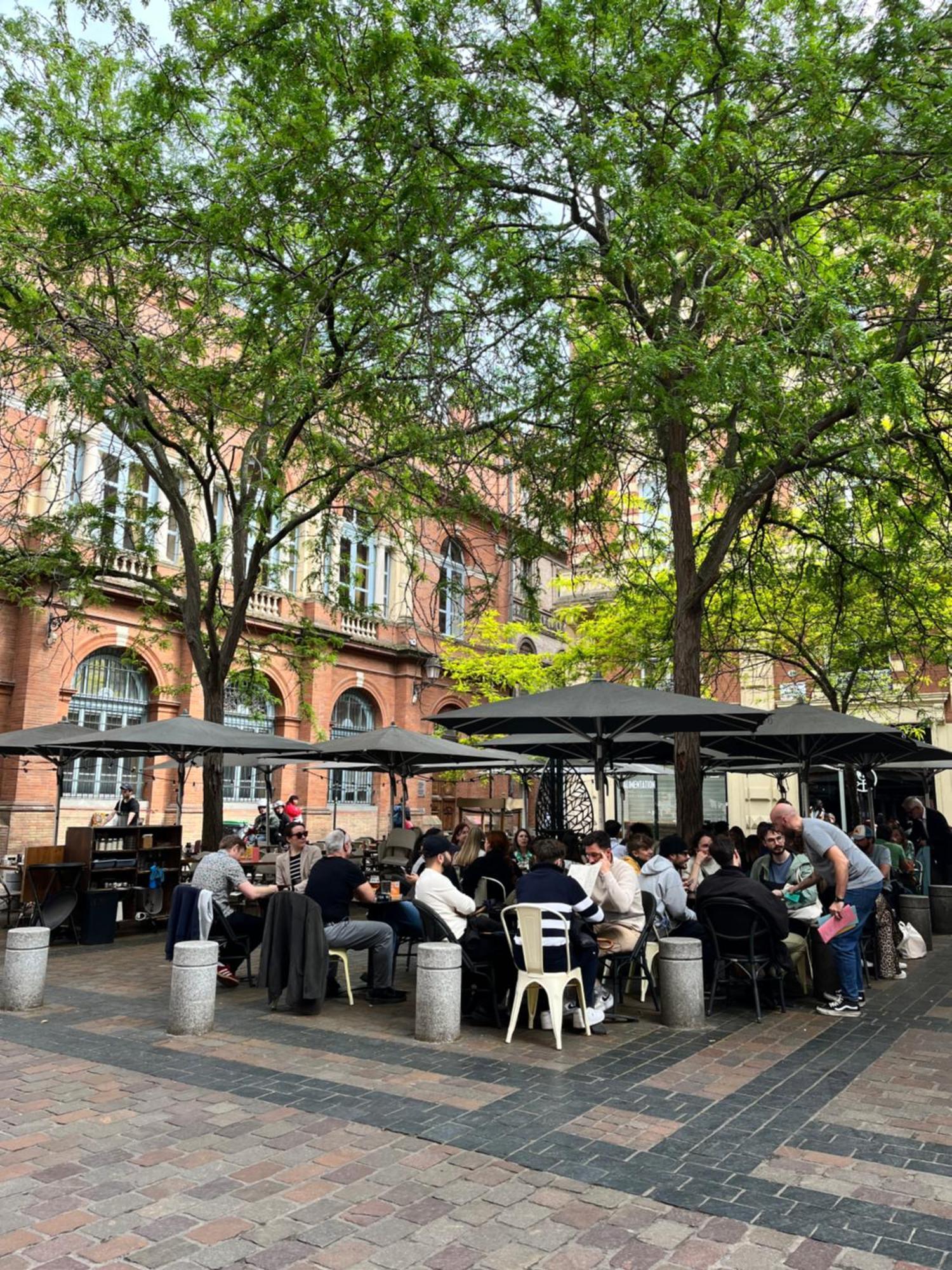 Le Petit Toulousain Chic Toulouse Eksteriør billede